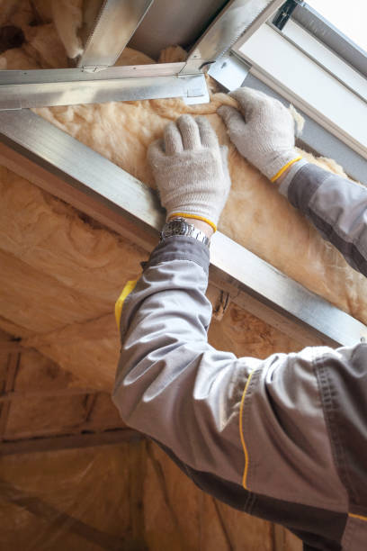 Best Cellulose Insulation in Laurens, SC